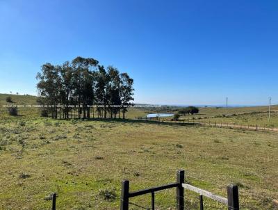 Fazenda para Venda, em Bag, bairro RS