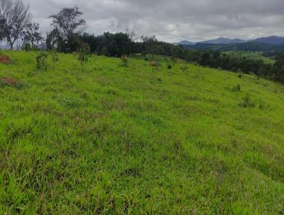 Terreno para Venda, em Carmpolis de Minas, bairro zona rural