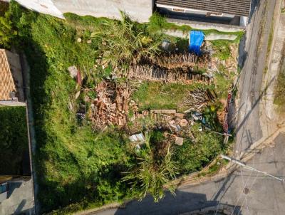 Terreno para Venda, em So Paulo, bairro Vila Morse