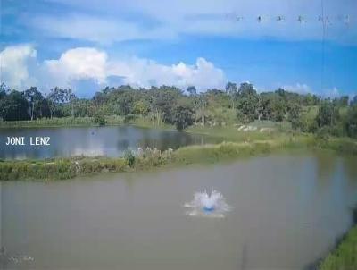 Stio para Venda, em Nossa Senhora do Livramento, bairro rural