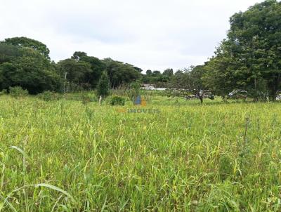 Stio para Venda, em So Jos dos Pinhais, bairro Contenda