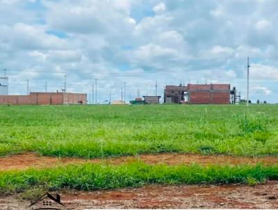 Lote para Venda, em Lucas do Rio Verde, bairro Florais dos Buritis