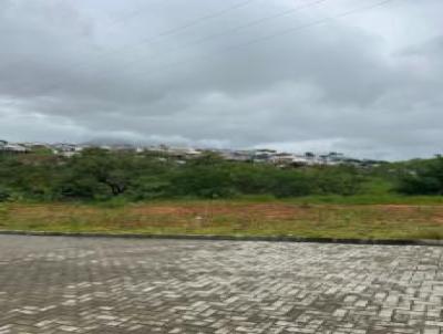 Terreno para Venda, em Palhoa, bairro Bela Vista