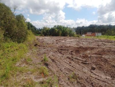 Terreno para Venda, em Balnerio Piarras, bairro itacalomi