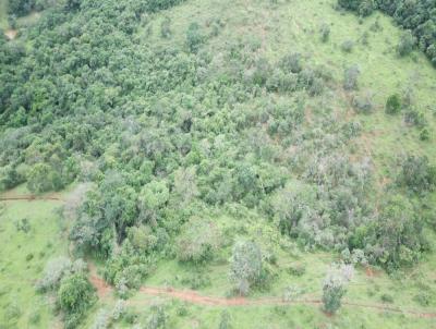 Fazenda para Venda, em Santo Antnio do Amparo, bairro CARIDADE