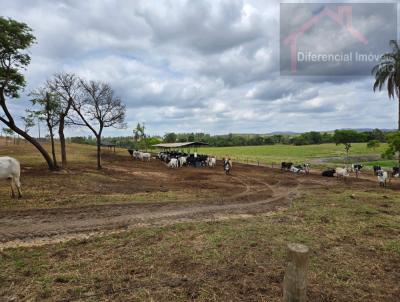 Fazenda para Venda, em Inhama, bairro rea Rural, 2 dormitrios, 4 banheiros, 3 sutes, 4 vagas