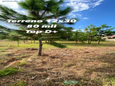 Terreno para Venda, em , bairro Arroio Teixeira