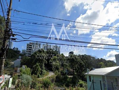 Terreno para Venda, em Bento Gonalves, bairro Borgo