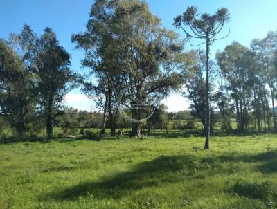 Terreno para Venda, em Santa Maria, bairro Camobi