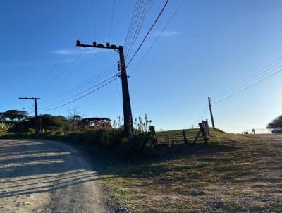 Terreno para Venda, em S�o Bento do Sul, bairro Rio Vermelho Esta��o
