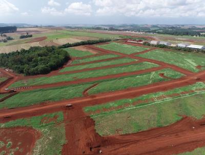Terreno para Venda, em Cascavel, bairro Santo ngelo