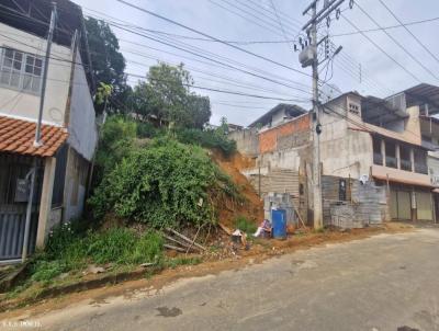 Terreno para Venda, em Cataguases, bairro Bandeirantes