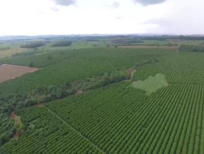 Fazenda para Venda, em Fernandpolis, bairro Centro (Distrito de Brasitnia)