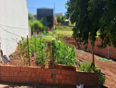 Terreno para Venda, em Mandaguari, bairro Jardim Paris