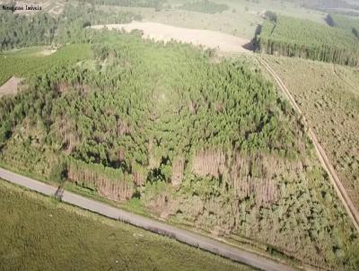 Terreno Rural para Venda, em Ecoporanga, bairro CORREGO VERMELHO