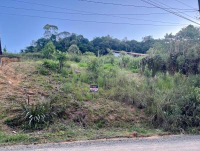 Terreno para Venda, em So Bento do Sul, bairro Alpino