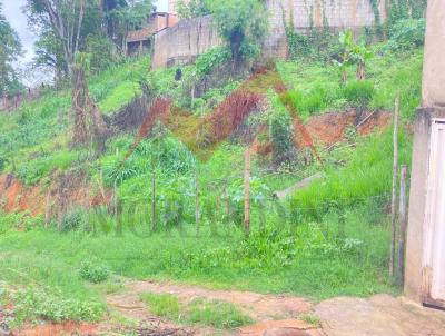 Lote para Venda, em Santa Brbara, bairro So Vicente