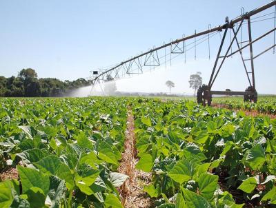 Fazenda para Venda, em Santa Rita do Passa Quatro, bairro 