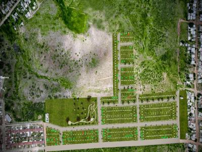 Terreno para Venda, em Santana do Livramento, bairro Braslia