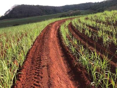 Stio para Venda, em Descalvado, bairro Rural