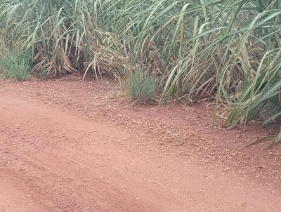 Fazenda para Venda, em Limeira, bairro Rural