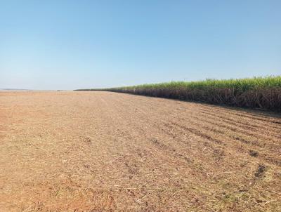 Stio para Venda, em Santa Cruz da Conceio, bairro 