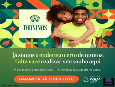 Loteamento para Venda, em Cesrio Lange, bairro TORNINOS