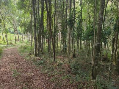 Terreno Rural para Venda, em Pin, bairro trigolandia