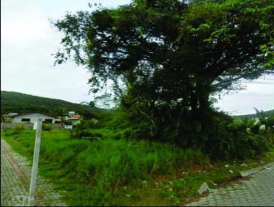 Terreno para Venda, em Itapema, bairro Z Amndio