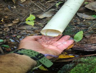 Terreno para Venda, em Munhoz, bairro 091