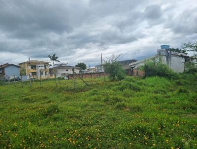 Terreno para Venda, em Florianpolis, bairro Carianos