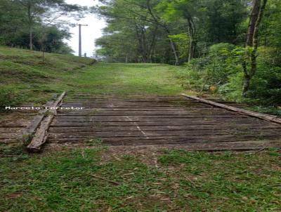 Terreno Rural para Venda, em Pin, bairro trigolandia