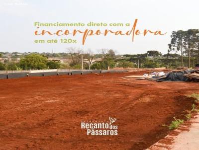 Terreno para Venda, em , bairro Jardim Colonial