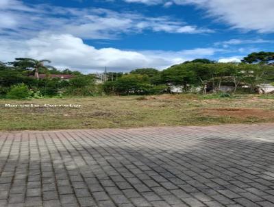 Terreno para Venda, em Pin, bairro trigolandia