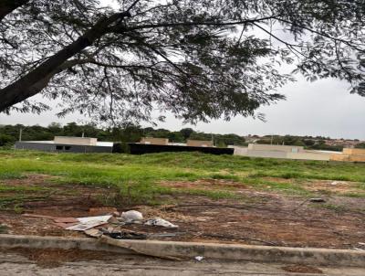 Lote para Venda, em Jaguarina, bairro CORAO DE JESUS