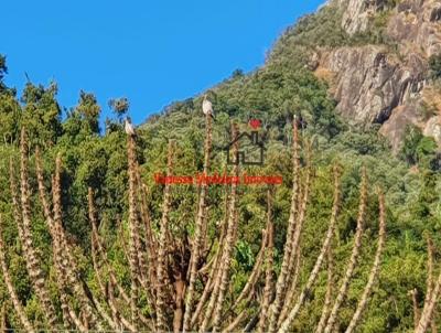 Terreno para Venda, em Passa Quatro, bairro Passa Quatro