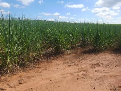 Stio para Venda, em Santa Rita do Passa Quatro, bairro 