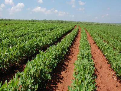 Fazenda para Venda, em Santa Rita do Passa Quatro, bairro 