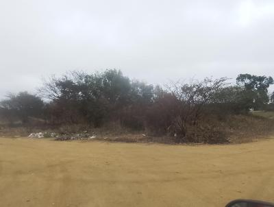 Terreno para Venda, em Maracs, bairro Jardim Primavera