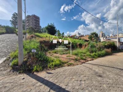 Lote para Venda, em Oliveira, bairro Euclides Ribeiro