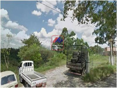 Terreno para Locao, em So Paulo, bairro Colnia