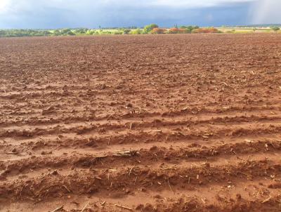 Stio para Venda, em Porto Ferreira, bairro Rural