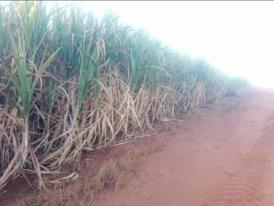 Fazenda para Venda, em Descalvado, bairro Rural