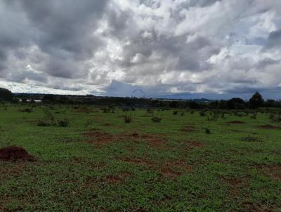 Terreno para Venda, em Campo Grande, bairro Moreninha