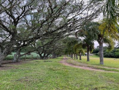 Ch�cara para Venda, em Rio Negro, bairro Centro (Lajeado dos Vieiras), 9 dormit�rios