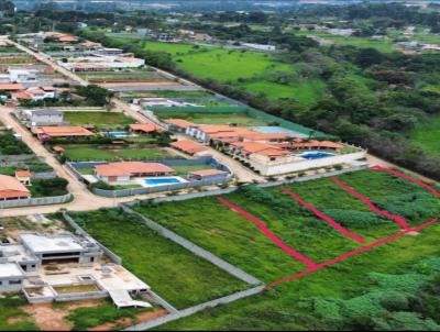 imagem-miniatura