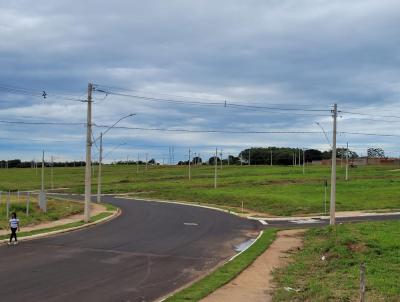 Terreno para Venda, em Uberaba, bairro Maria Oliveira