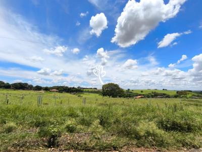 Chcara para Venda, em Regente Feij, bairro Regio Rural