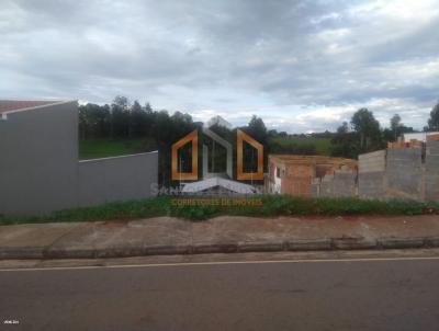 imagem-miniatura