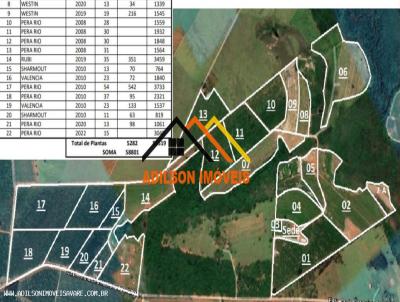 Fazenda para Venda, em Ubirajara, bairro Zona Rural